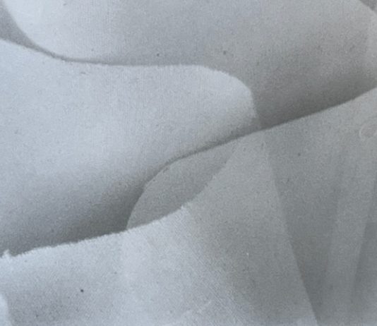 Nace la nueva editorial que abarca las artes contemporáneas, Art & Law