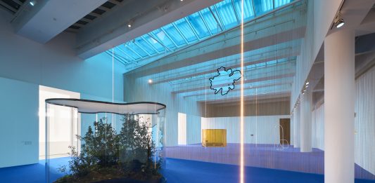 El MACBA (Barcelona) presenta ‘Una hoja en lugar del ojo’, primera retrospectiva de Daniel Steegmann Mangrané