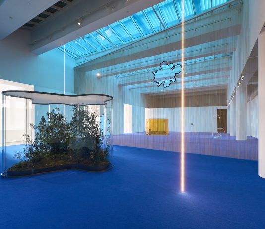 El MACBA (Barcelona) presenta ‘Una hoja en lugar del ojo’, primera retrospectiva de Daniel Steegmann Mangrané