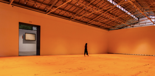 El Museo Helga de Alvear (Cáceres) presenta la primera gran antológica de Carlos Bunga