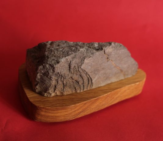 ‘Això no és res’ de Irena Visa llega al Centre de les Arts Lliures (Barcelona)