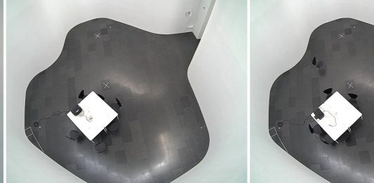 El MACBA despliega las primeras propuestas de la temporada 2024