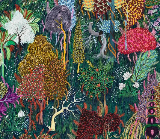 Sabrina Amrani Gallery (Madrid) presenta la primera exposición individual de Wardha Shabbi en España