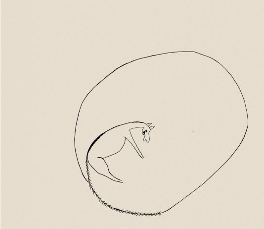 El Sielo (L’Hospitalet de Llobregat) presenta la nueva exposición de la artista argentina Florencia Sadir