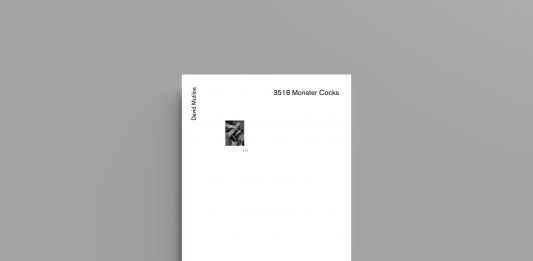 Brillo Editorial presenta ‘3518 Monster Cocks’, una propuesta archivística por David Mutiloa