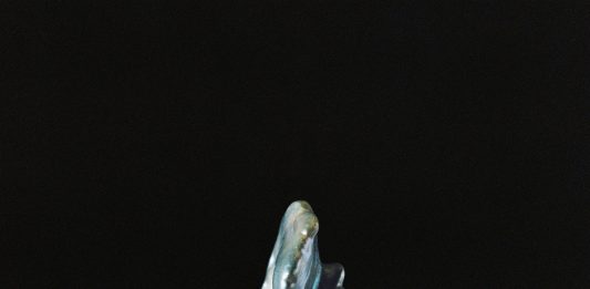 Para primavera de 2024 vuelve la undécima edición de Art Photo Bcn