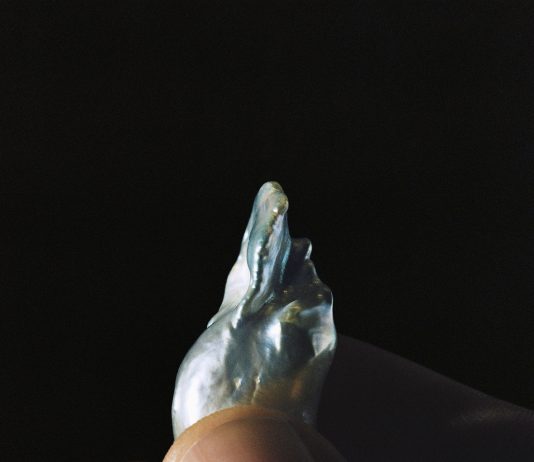 Para primavera de 2024 vuelve la undécima edición de Art Photo Bcn