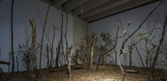 El MUSAC (León) celebra la obra de Ana Mendieta junto a un recorrido de la colección del Museo