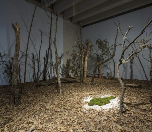 El MUSAC (León) celebra la obra de Ana Mendieta junto a un recorrido de la colección del Museo