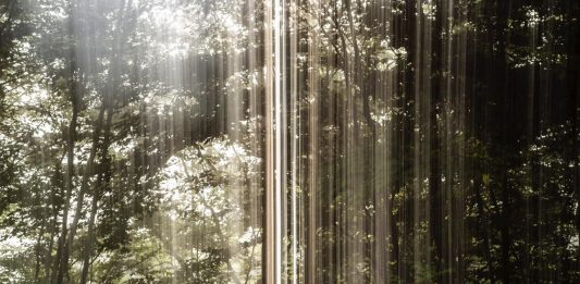 La galería Suburbia Contemporary (Barcelona) presenta ‘How We See The World’ del artista Barry Salzman