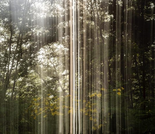 La galería Suburbia Contemporary (Barcelona) presenta ‘How We See The World’ del artista Barry Salzman