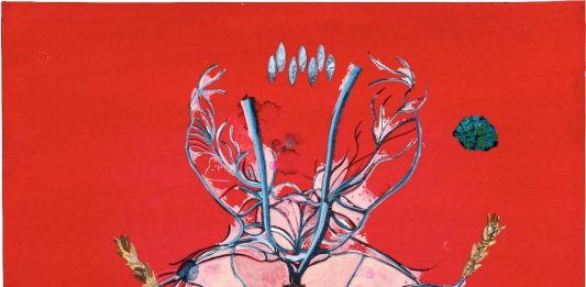 El Museu Etnològic de Barcelona invita a 10 artistas a entrar en las reservas para generar nuevas obras