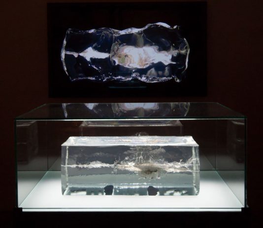 TBA21 y el C3A (Córdoba) se prepara para la llegada de ‘Ecologías de la paz’