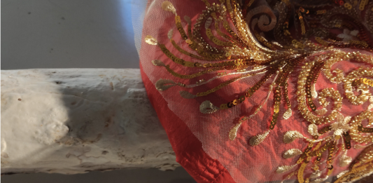 ‘Las Planarias y las Taenias’ de Jose Begega hasta el 19 de mayo en el Centre de les Arts Lliures de la Fundació Brossa (Barcelona)