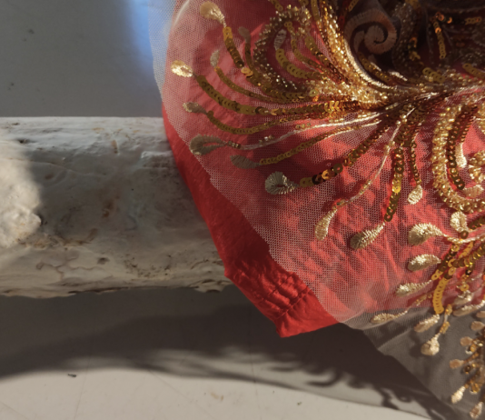 ‘Las Planarias y las Taenias’ de Jose Begega hasta el 19 de mayo en el Centre de les Arts Lliures de la Fundació Brossa (Barcelona)