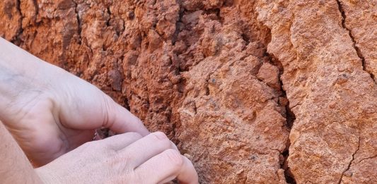 Tangent Projects presenta la exhibición ‘Hurgar hogar’ de la artista Marina Rubio