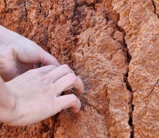 Tangent Projects presenta la exhibición ‘Hurgar hogar’ de la artista Marina Rubio