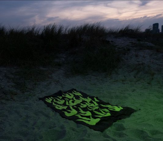 Espai 13 (Barcelona) de la Fundació Joan Miró inaugura ‘Lógica Mariposa’ de Inari Sandell