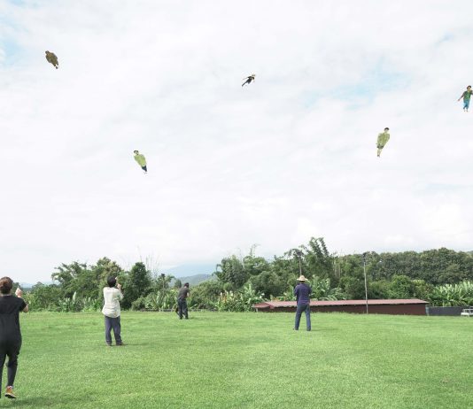 El Centro Botín comparte información sobre su nueva exposición monográfica de Shimabuku
