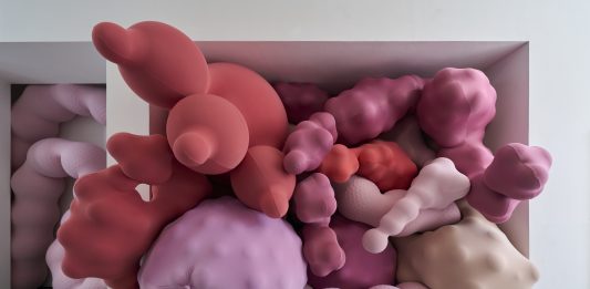 Inaugura en Barcelona el último episodio de ‘Col·lecció MACBA. Preludi: Intenció poética’