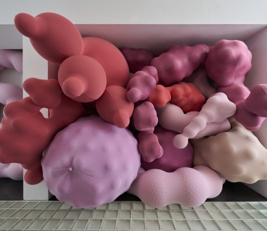 Inaugura en Barcelona el último episodio de ‘Col·lecció MACBA. Preludi: Intenció poética’