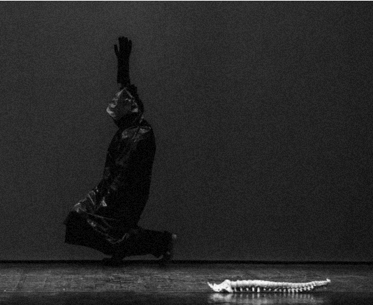 El Festival de Electrónica Visual y Realidades Extendidas L.E.V. Matadero regresa a Madrid