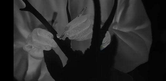 Tabakalera anuncia la exhibición ‘Extramission’ de la artista y cineasta Jessica Sarah Rinland