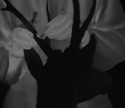 Tabakalera anuncia la exhibición ‘Extramission’ de la artista y cineasta Jessica Sarah Rinland