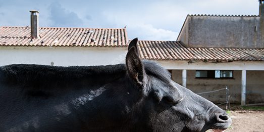 La FCAYC (León) acoge la exposición ‘Pueblos de colonización. Miradas a un paisaje inventado’