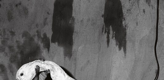 El Festival Panoràmic anuncia la programación de su 8ª edición