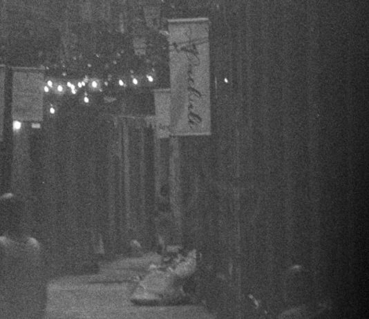 La gentrificación como protagonista en una exposición en el Centre de les Arts Lliures (Barcelona)