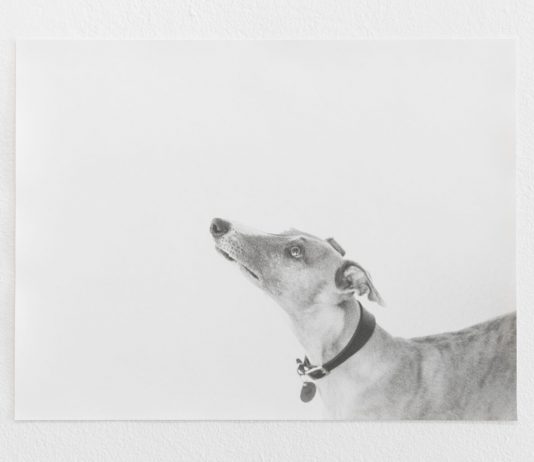 La naturaleza de Jochen Lempert en ProjecteSD (Barcelona)