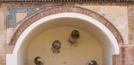 La exposición ‘Tablao’ en el CAAC (Sevilla) celebra la creatividad emergente de la región andaluza