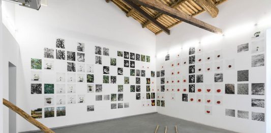 Cuatro artistas catalanes en la colectiva ‘La forma sólida del paisaje’, presentada en Roma