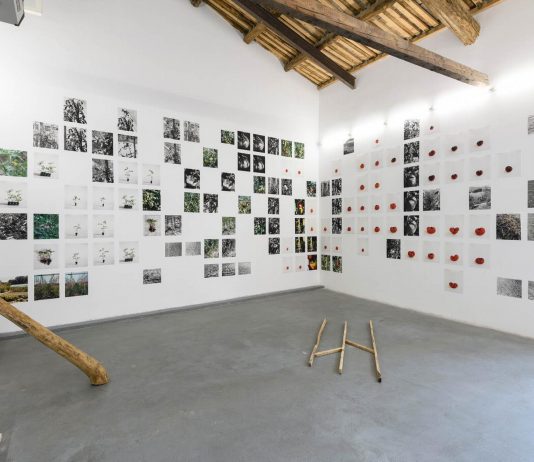 Cuatro artistas catalanes en la colectiva ‘La forma sólida del paisaje’, presentada en Roma