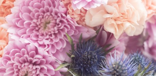 Arranca FLORA 2024 (Córdoba), con una edición dedicada a las multiespecies