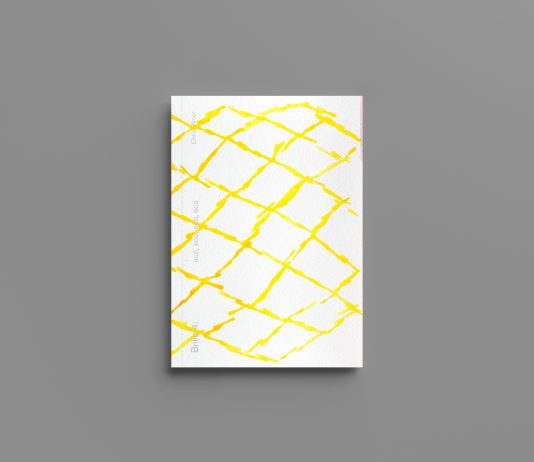 Brillo Editorial presenta ‘Brillo 4: eco, eco, eco, eco’, un recorrido por el imaginario de Elvira Amor