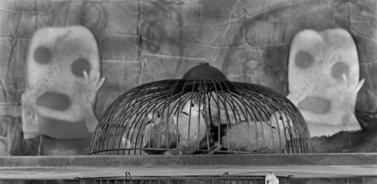 Roger Ballen, primera gran retrospectiva en Panoràmic 2024