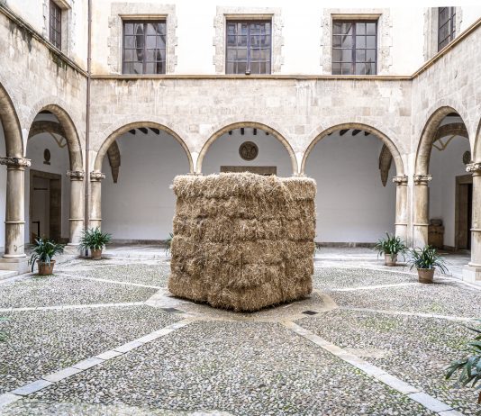 Tres espacios de Palma acogen una exposición de Cildo Meireles