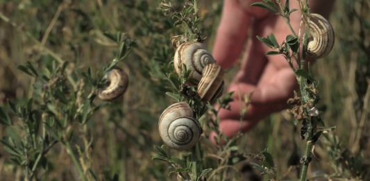 ‘Sotaveu’ de Mar Arza en La Virreina (Barcelona)
