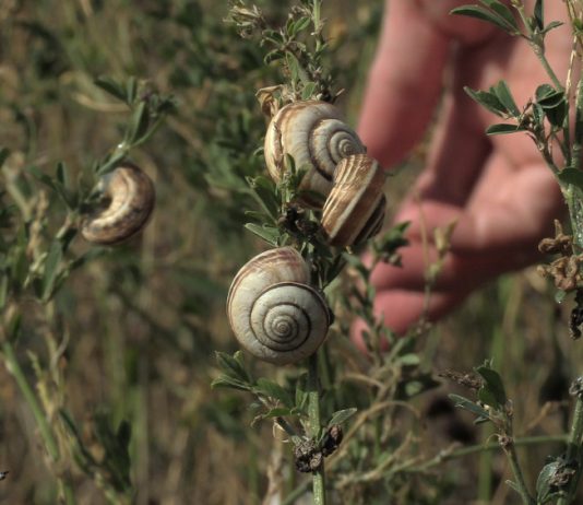 ‘Sotaveu’ de Mar Arza en La Virreina (Barcelona)