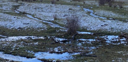 ‘Com des d’aquí’, el nuevo ciclo de exposiciones en el Espai 13 de la Fundación Joan Miró (Barcelona)