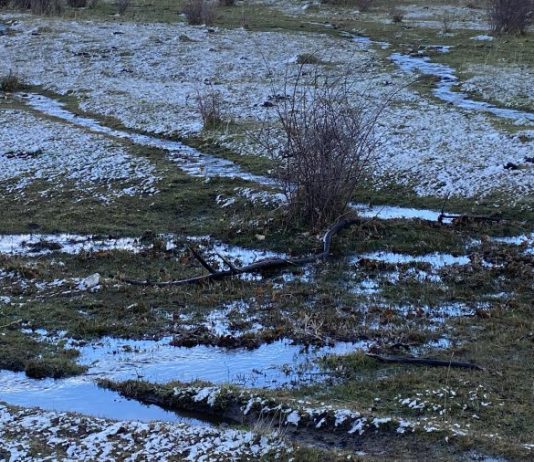 ‘Com des d’aquí’, el nuevo ciclo de exposiciones en el Espai 13 de la Fundación Joan Miró (Barcelona)