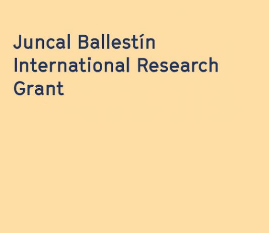 Artium Museoa (Vitoria-Gasteiz) anuncia la convocatoria de la Beca Internacional de Investigación Juncal Ballestín 2025