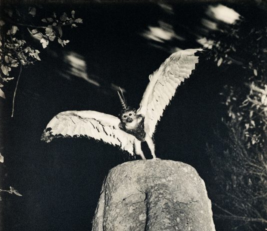 Joan Fontcuberta presenta ‘Monstrorum historia’ en Kutxa Fundazioa Tabakalera (San Sebastián)