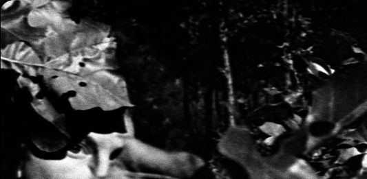 El cine experimental de Maya Deren en el Museu Etnològic i de Cultures del Món (Barcelona)