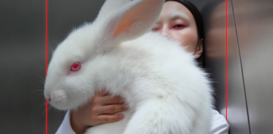 MMMAD Festival (Madrid) prepara su sexta edición