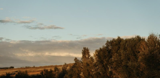 Abre la convocatoria ‘Componer saberes para imaginar y construir futuros sostenibles’