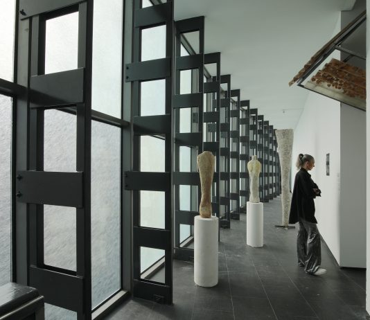 El Museo CA2M (Madrid) inaugura las exposiciones: ‘David Bestué. Flor Hispania’ y ‘Rodríguez-Méndez. Humores y espesores’