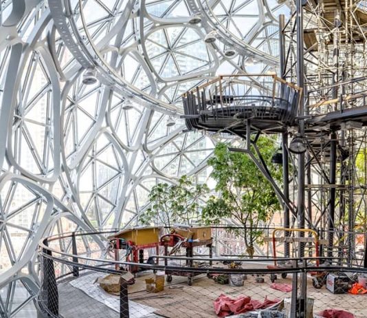 ‘Brutal/Feral’ abre debate en el Bòlit (Girona)